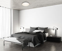 Load image into Gallery viewer, 14" Smart Wifi RGB + White ceiling fixture