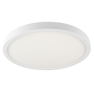 14" Smart WiFi White RGBW Tunable Utility Ceiling Light